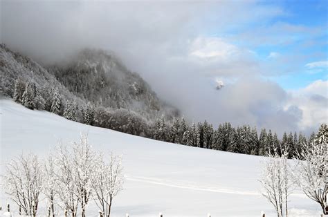 Free Images Landscape Tree Nature Forest Outdoor Rock Snow