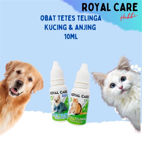 ROYAL CARE TELINGA Obat Tetes Anti Kutu Telinga Dan Infeksi Kucing