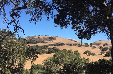 The Camp At Carmel Valley Monterey County Film Commission