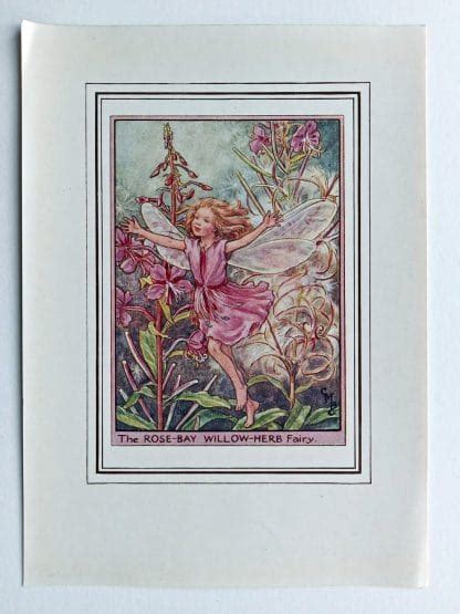 Rose Bay Willow Herb Fairy Print Flower Fairy Prints