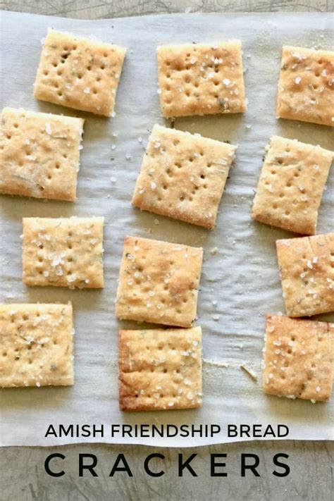 Amish Friendship Bread Crackers Recipe Amish Friendship Bread