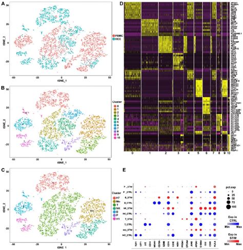 Single Cell Transcriptomic Data Of PBMCs HCC Tumor Cells And Liver