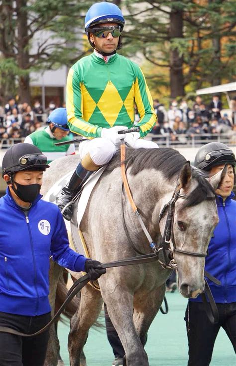 11月18日東京競馬⭐︎2歳新馬⭐︎サトノギフテッド 公式：黒澤ひかりのキラキラ日記～magic Kiss Lovers Only～