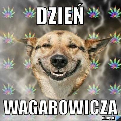 Memy Na Dzie Wagarowicza Kurier Poranny