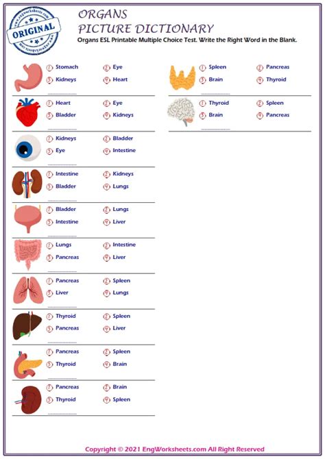 Organs Esl Printable Multiple Choice Test Write The Right Word In The