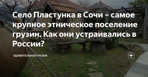 Село Пластунка в Сочи – самое крупное этническое поселение грузин. Как ...