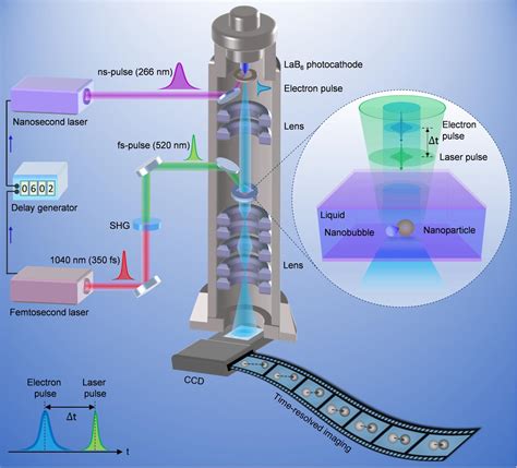 Using Four Dimensional Electron Microscopy To Track Diffusion Of