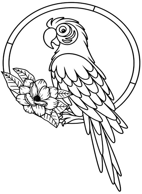 Macaw On A Ring Coloring Page Free Printable Coloring Pages