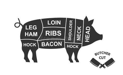 Pig Scheme Cuts Butcher Diagram Poster Meat Diagram Scheme