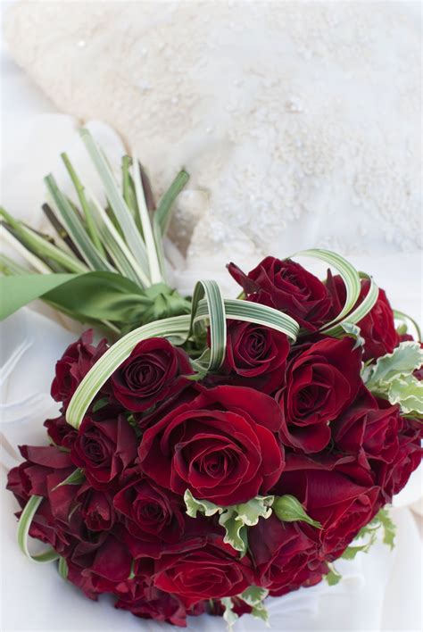 Contemporary And Vibrant Red Rose Bouquet Red Rose Bouquet Red Flower