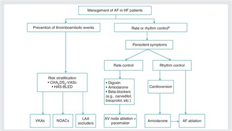 Management Of Atrial Fibrillation In Heart Failure Patients As Download Scientific Diagram