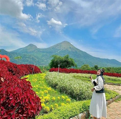 Wisata Trawas Terbaru Ini Dia Cafe Unik Tempat Nongkrong Hits