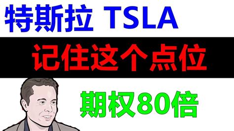 美股嘉可能TSLA特斯拉短线记住这个点位NVDA期权狂赚80倍赢利百万SNAPFB等抄底点位收藏SPY QQQ AAPL