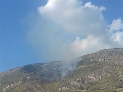 Castellammare Del Golfo Monte Inici Torna A Bruciare Distrutti