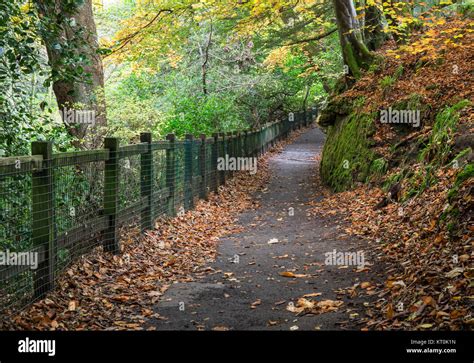 Rouken Glen Park Glasgow Stock Photo Alamy