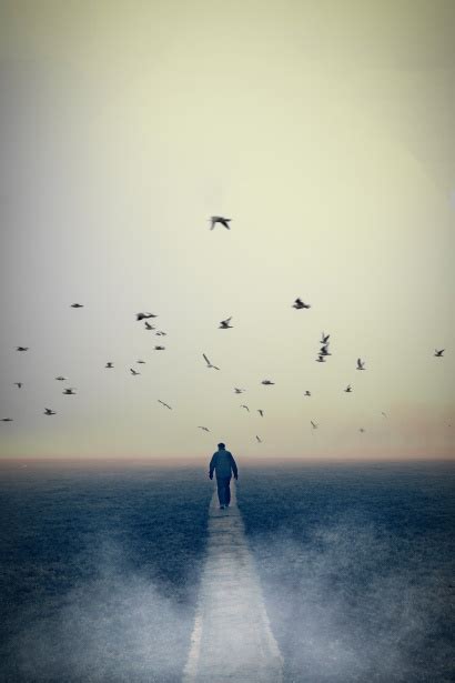 misty  stock photo public domain pictures