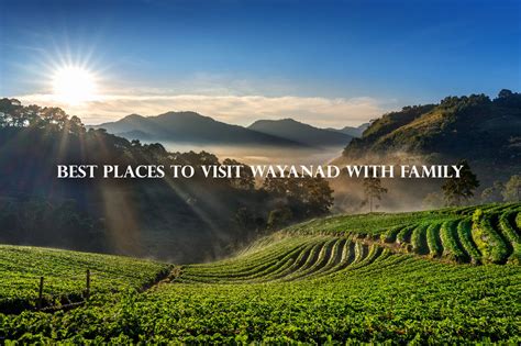 Best Places To Visit In Wayanad Stay In The Lap Of Nature