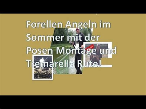 Forellen Angeln Im Sommer Mit Der Posen Montage Und Tremarella Rute