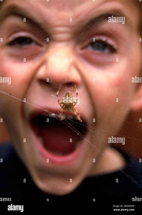 Arachnophobia Face Of A Screaming Year Old Boy Frightened By A