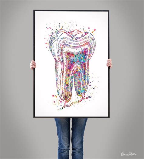 Tooth Cross Section Watercolor Print Molar Tooth Anatomical Etsy Uk