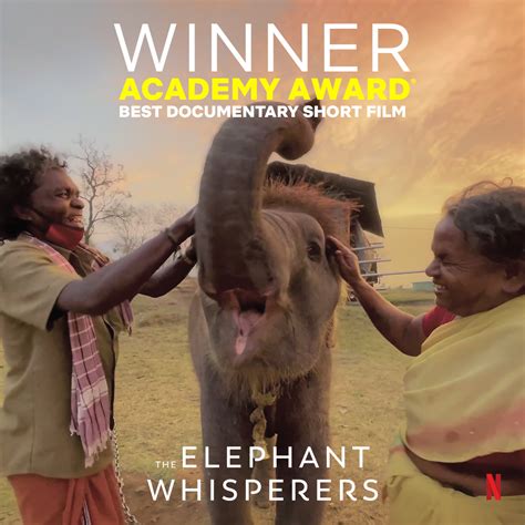 Queue On Twitter RT Netflixgolden Congratulations To The Elephant