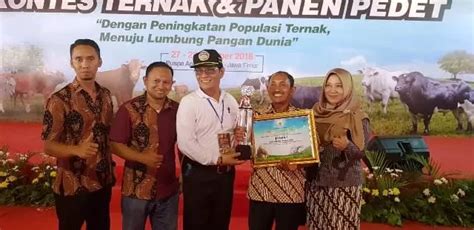 Kontes Ternak Dan Panen Pedet Peternakan Jombang Sabet Tiga Juara