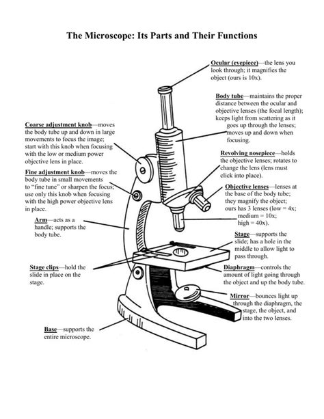 Parts Of A Microscope Diagram And Functions Microscope Diagr