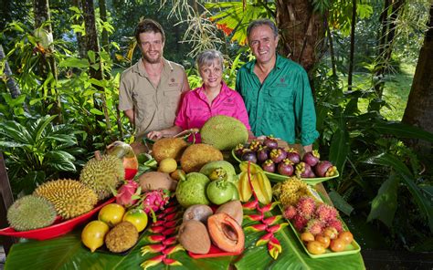 4 Unique Experiences To Try In Cairns Silverkris