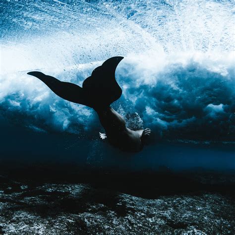 Mermaids New Evidence Discovery Channel