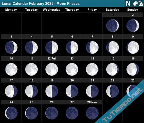 February 2025 Moon - Diane P. Williams