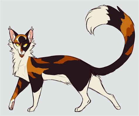 Sol By Songsteps Designs On DeviantArt Warrior Cats Art Warrior Cats