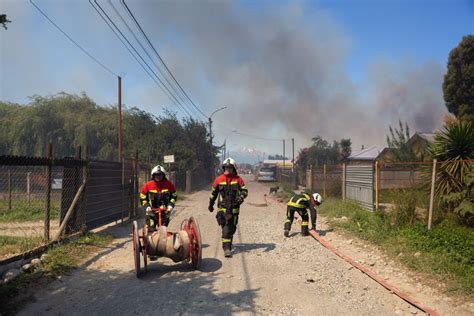 Más De 11 000 Hectáreas Han Sido Afectadas Por Incendios Forestales Y