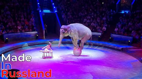 A Great Performance At The Great Moscow State Circus Hurry Up A