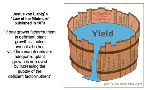 Liebigs Law Of Minimums Earthwise Agriculture