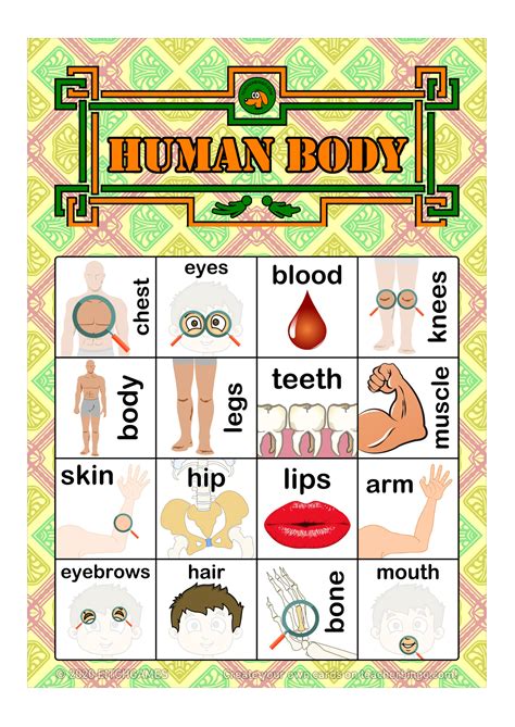 Human Body Parts Bingo 4x4 5 Pages Call Sheet Made By Teachers