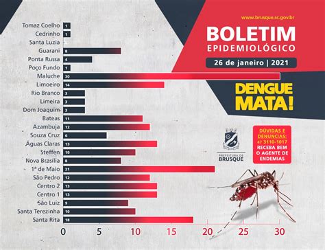 Brusque Registra Primeiro Caso Aut Ctone De Dengue Em R Dio