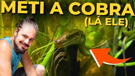 COBRA NO AQUÁRIO NADANDO PEIXES Mr Betta YouTube