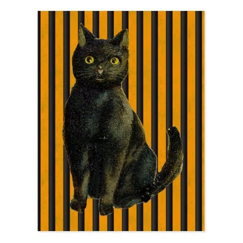 Vintage Halloween Cat Postcard | Zazzle