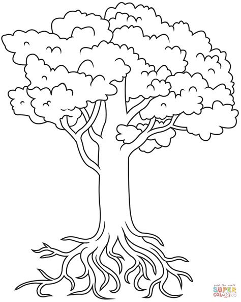 Tree With Roots Coloring Page Free Printable Coloring Pages