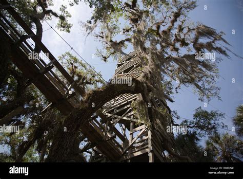 A Canopy Walkway Leads To A Viewing Tower At The Myakka River State