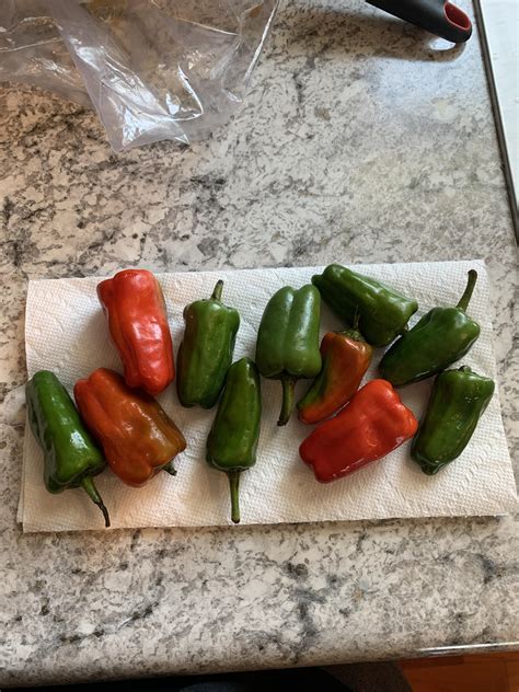 Can Anyone Help Me Identify These Peppers They Were Ted To Me From My Gf’s Grandfather And