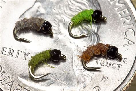 Video How To Tie The Micro Caddis Larva Orvis News Fly Fishing