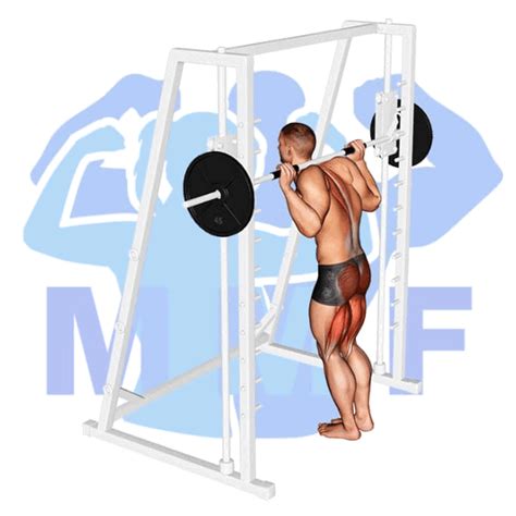 Smith Machine Bent Knee Good Morning Your Practical How To Guide