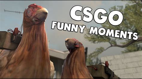 Spin Chickens Global Offensive Csgo Funny Moments Youtube