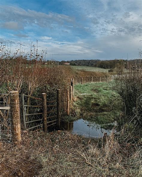 Belmont Estate - The first steps of a wild project When...