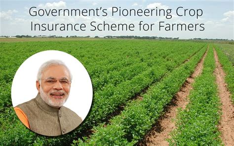 Governments Pioneering Crop Insurance Scheme For Farmers Prime