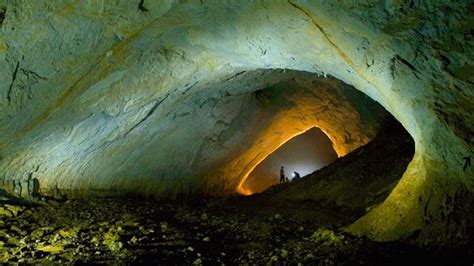 Pe Tera Spectaculoas Din Rom Nia Unde G Se Ti Specii Unice N Lume