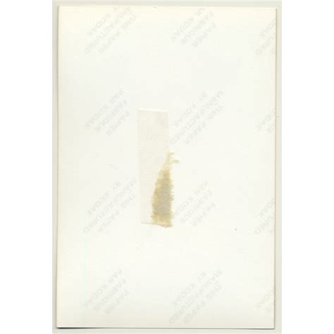 Busty Topless Blonde Female 3 Pin Up Boobs Vintage Photo Germany 1980s