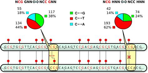 CpG Island Clusters And Pro Epigenetic Selection For CpGs In Protein