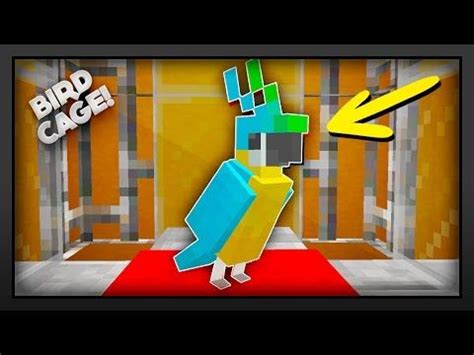 Minecraft - How To Make A Bird Cage - YouTube | Bird cage design, Bird cage, Cool things to build